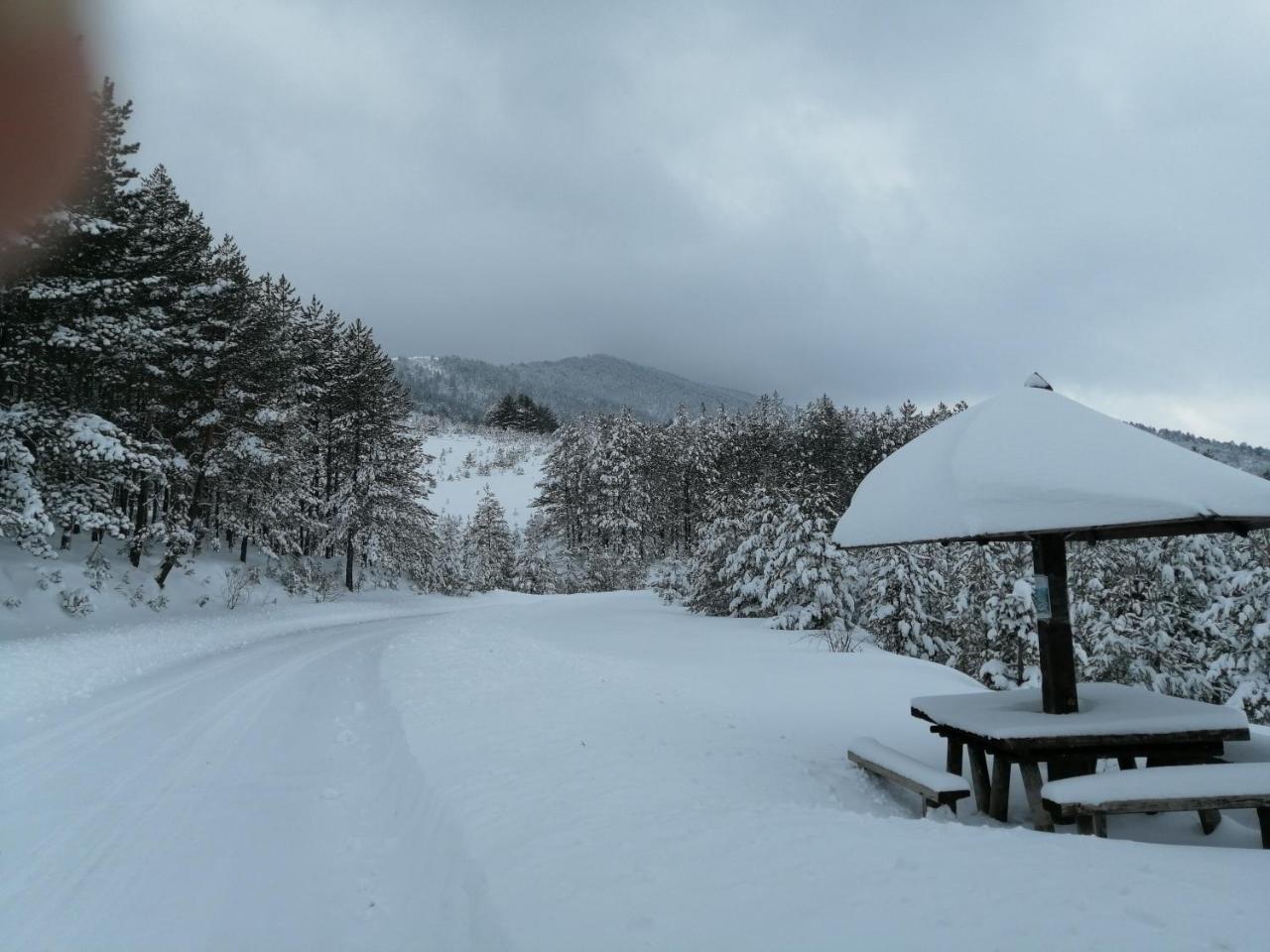 Chalet Four Seasons Zlatibor Exterior foto